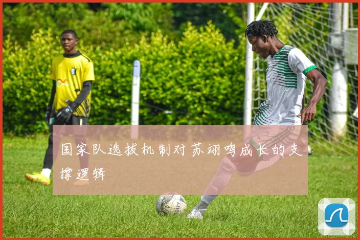 国家队选拔机制对苏翊鸣成长的支撑逻辑