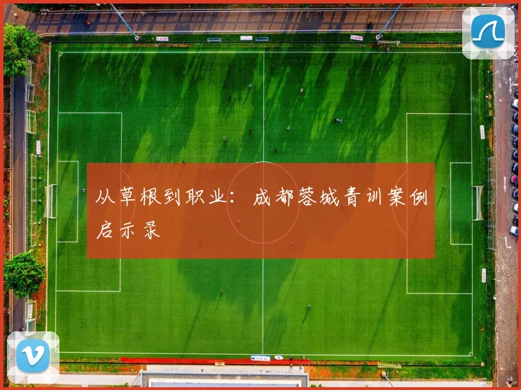 从草根到职业：成都蓉城青训案例启示录
