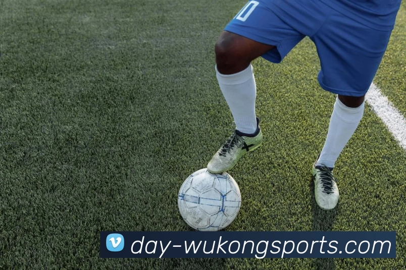 App Interface Preview